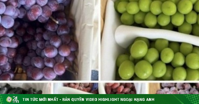 Việt Nam là “khách sộp” số 1 của nho Trung Quốc?