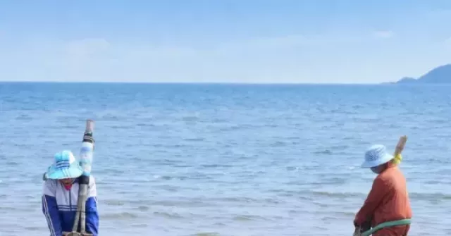 'Đi giật lùi' ở biển Cửa Lò, đổi sức kiếm từng mẻ ngao mưu sinh