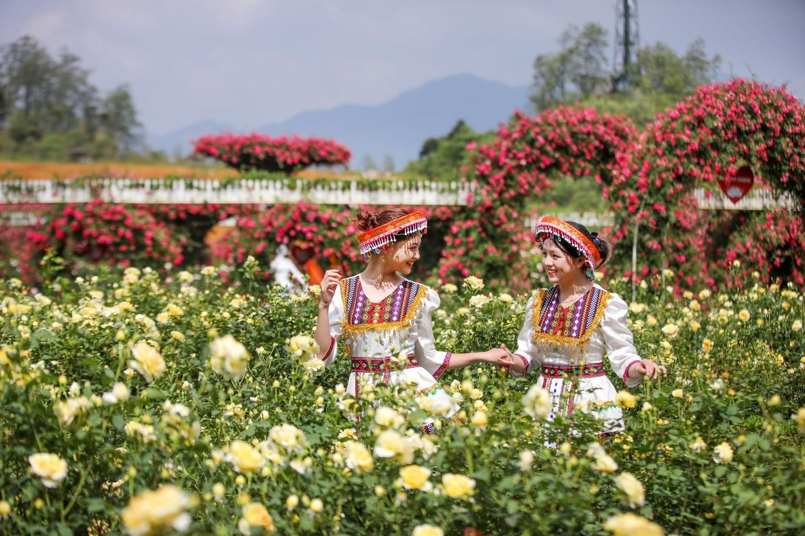 Lễ hội hoa hồng 2026 diễn ra tại Fansipan từ ngày 25/4 đến hết ngày 3/5 là sự kiện hấp dẫn không thể bỏ qua.