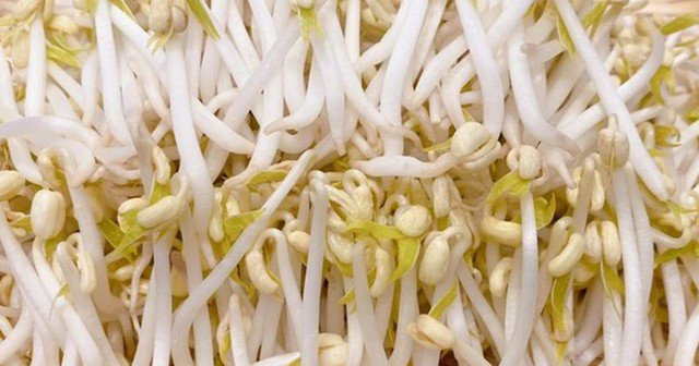 Tránh ăn giá đỗ vào buổi tối vì có thể khiến bạn khó tiêu và ảnh hưởng đến giấc ngủ.