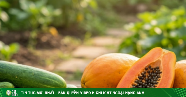 Dược thiện từ đu đủ: 6 loại thực phẩm không nên ăn cùng