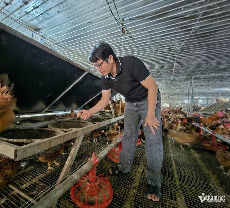 Hải Sâm