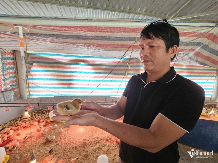 Hải Sâm