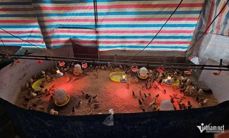 Hải Sâm