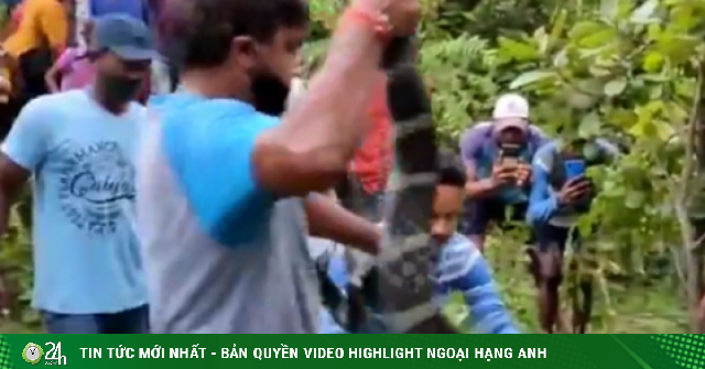 Video: Tóm sống rắn hổ mang chúa "khủng" dài 5 mét nấp trong vườn nhà, người dân tò mò ùn ùn kéo đến xem