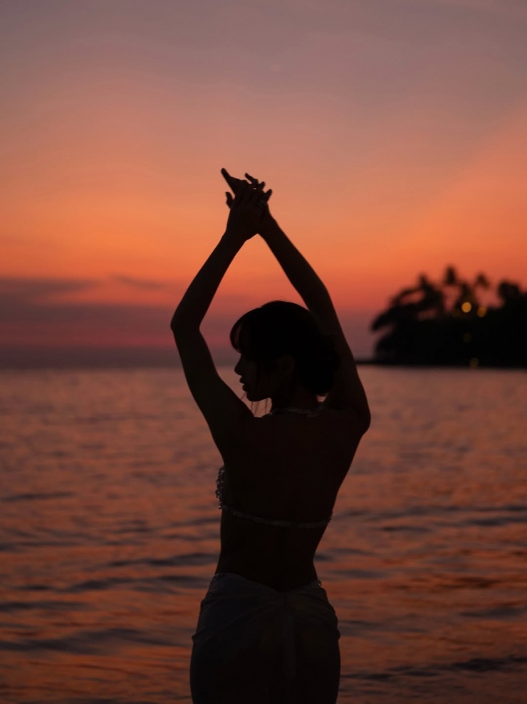 Sau vài giờ, bộ ảnh nhận hơn 5,3 triệu lượt thích và khoảng 40.000 bình luận. Ngoài khán giả toàn cầu, nhiều nghệ sĩ Âu Mỹ và Hàn Quốc chúc mừng Lisa tuổi mới rực rỡ, xinh tươi.