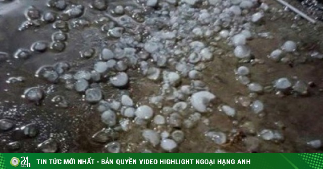 Đêm nay có thể xuất hiện mưa đá, dông lốc, người dân cần chuẩn bị gì giảm thiểu thiệt hại?