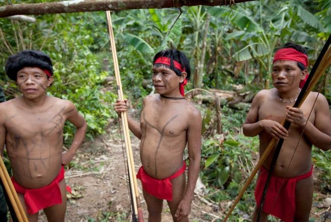 Bộ tộc Yanomami sống trong các rừng nhiệt đới ở vùng núi phía Bắc Brazil và miền Nam Venezuela. Một trong những hủ tục của người Yanomami còn tồn tại đến ngày nay là tục ăn, uống tro cốt của người chết mà không một chút mảy may lo sợ.