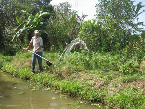 Ánh Viên & chuyện chưa nhiều người biết (Kỳ 1) - 2