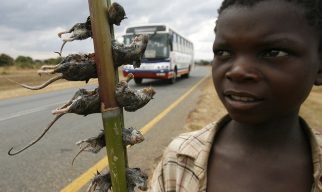 Một cậu bé bán món chuột luộc tại thủ đô Lilongwe, Malawi.