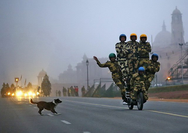 Ngon thì chú lên đây &#34;cắn&#34; anh đi nào.