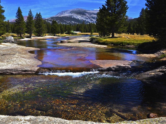 Đi bộ ở công viên Pacific Crest Trail thông qua 3 bang của nước Mỹ: California, Oregon, và Washington. Đường mòn dài 4264km, nhưng bạn không cần phải đi hết cùng một lúc.