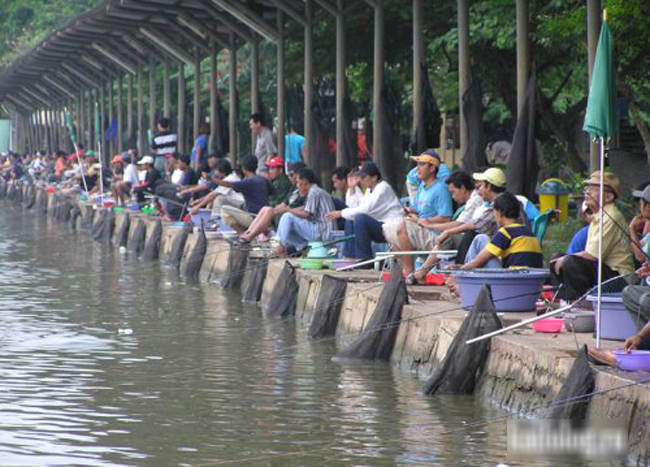 Câu cá phải đông thế này mới vui chứ.