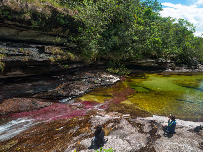 Sông Caño Cristales ở Colombia có nhiều loài thủy&nbsp;sinh thay đổi màu sắc nhau tùy thuộc vào thời tiết. Địa điểm du lịch này thường mở cửa từ tháng 6 đến tháng 11 hàng năm.