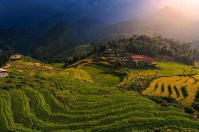 Thung lũng Mường Hoa ở Sa Pa nổi tiếng với những cánh đồng ruộng bậc thang nằm trên sườn&nbsp;núi.