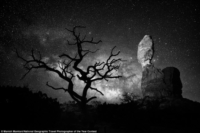 Khối đá thăng bằng Balanced Rock và cây trụi lá nổi bật trên nền trời đêm trong vườn quốc gia Arches, bang Utah, Mỹ.