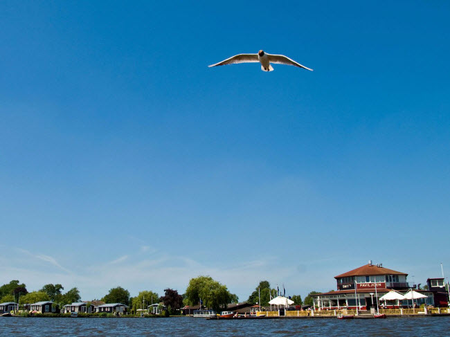 Ngôi làng Giethoorn nằm trong vườn quốc gia De Weerribben-Wieden ở tỉnh Overijssel, Hà Lan.