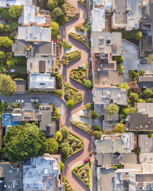 Nằm tại thành phố San Francisco thuộc bang California ở Mỹ, phố Lombard được biết đến là con đường độc đáo khúc khuỷu&nbsp;nhất thế giới.