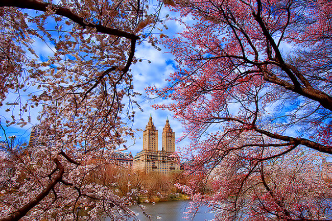 Công viên Trung tâm ở thành phố New York của Mỹ là địa điểm thu hút đông du khách quanh năm. Vào đầu mùa hè, băng trên các dòng kênh và hồ trong công viên tan hết cho phép du khách có thể chèo thuyền ngắm cảnh.