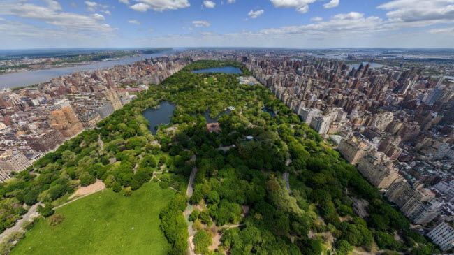 Người dân New York thường tới công viên Trung tâm để chơi thể thao hay tổ chức picnic trên thảm cỏ dưới các cây lớn vào dịp cuối tuần.