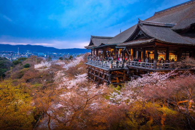 Thành phố Kyoto ở Nhật Bản nổi tiếng với những lâu đài và ngôi đền cổ giữa công viên xanh mướt.