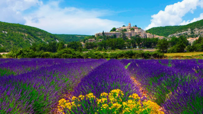 Vùng Provence là một trong những nơi rực rỡ sắc màu nhất nước Pháp, với những cánh đồng hoa oải hương thơm ngát và cánh đồng nho tuyệt đẹp.