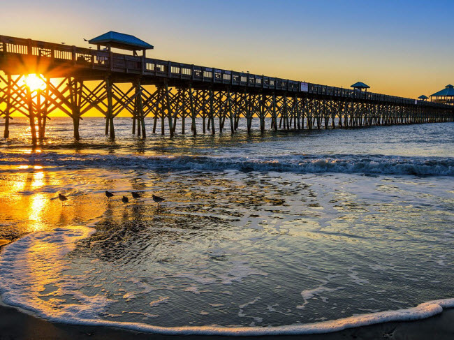 Bãi biển Folly là địa điểm ưa thích của những người dân địa phương ở bang South Carolina, Mỹ. Họ tới đây để chơi các môn thể thao nước như chèo thuyền, câu cá, lướt ván,…Bạn cũng có thể ngồi ngắm cảnh từ trên cầu tàu hay thưởng thức hải sản tại các nhà hàng ven biển.