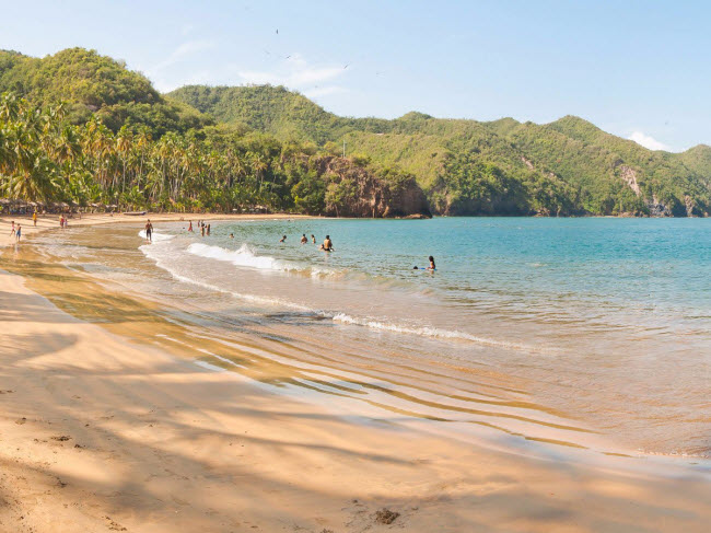 Nằm trên bán đảo Paria ở Venezuela, bãi biển Playa Medina nổi tiếng với cát trắng và nước biển xanh cùng với rặng dừa và cọ mát rượi. Nơi đây có nhiều món hải sản tươi ngon để du khách lựa chọn sau khi tắm biển.