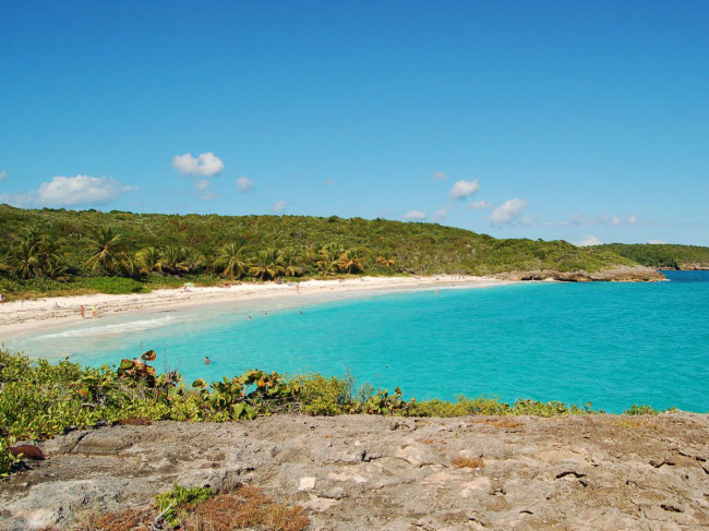 Trong khi bãi biển Navio trên đảo Vieques ở Puerto Rico trông rất hoang sơ và tĩnh lặng, những con sóng cuộn ở đây rất lý tượng cho hoạt động lướt ván. Vách đá xung quanh cũng có nhiều hang động để du khách khám phá.