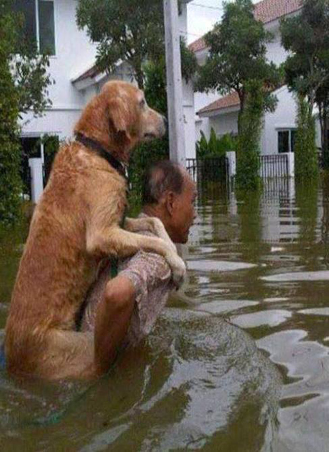 &#34;Tôi là chủ hay cậu là chủ tôi vậy?&#34;