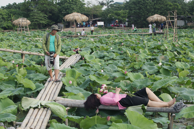 Một thiếu nữ hy sinh vì shot ảnh đẹp.