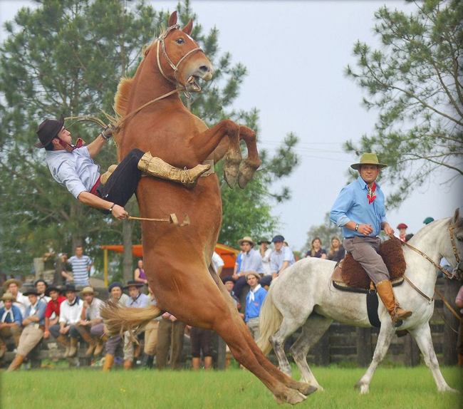 Anh xấu trai quá, tôi không &#34;cho cưỡi&#34; đâu.