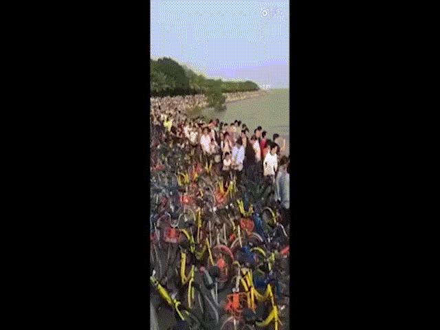 Vạn xe đạp chen nhau không lối thoát ở Trung Quốc