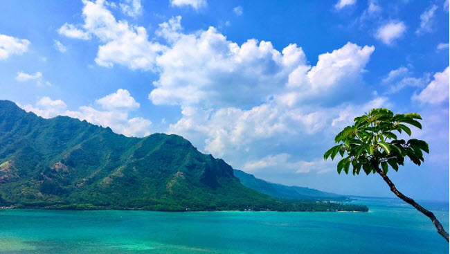 Hawaii: “Hòn đảo này đủ xa để bạn cảm giác như được giải thoát và nơi đây cũng rất an toàn và thuận tiện cho những du khách đơn thân. Người dân địa phương rất thân thiện và vui vẻ”, Nicoleb48c50a074 nói.