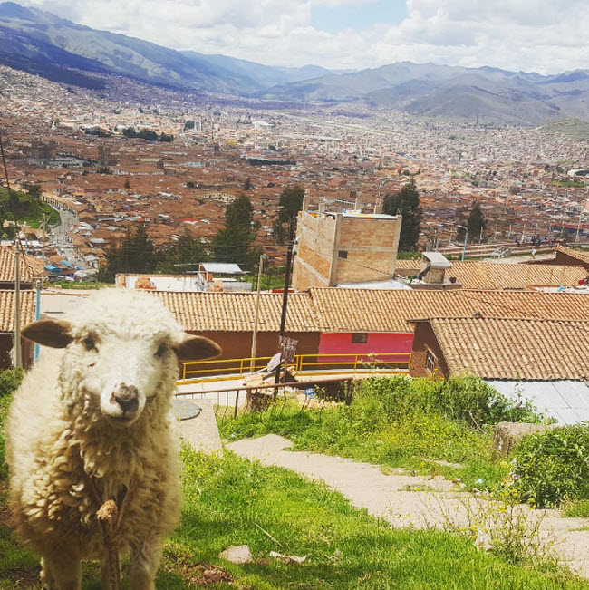 Cuzco, Peru: “Thành phố này thực sự phù hợp với những người nước ngoài vì nó có một cộng động người nước ngoài, nhiều người địa phương biết tiếng Anh, chi phí sinh hoạt thấp và cực kỳ an toàn. Ngoài tham địa điểm du lịch nổi tiếng như Machu Picchu, bạn có thể trải nghiệm cuộc sống ban đêm sôi động ở đây”, Katelyn Özdemir viết.