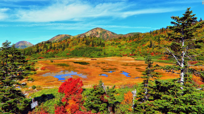 Khung cảnh mùa thu tuyệt đẹp tại hồ Koya ở Niigata.