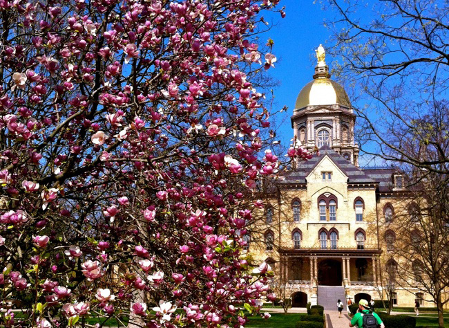 Đại học Notre Dame nổi tiếng với hình ảnh tòa tháp Golden Dome – biểu tượng nổi tiếng của trường. Đây là một trong những trường đại học hàng đầu tại Mỹ.