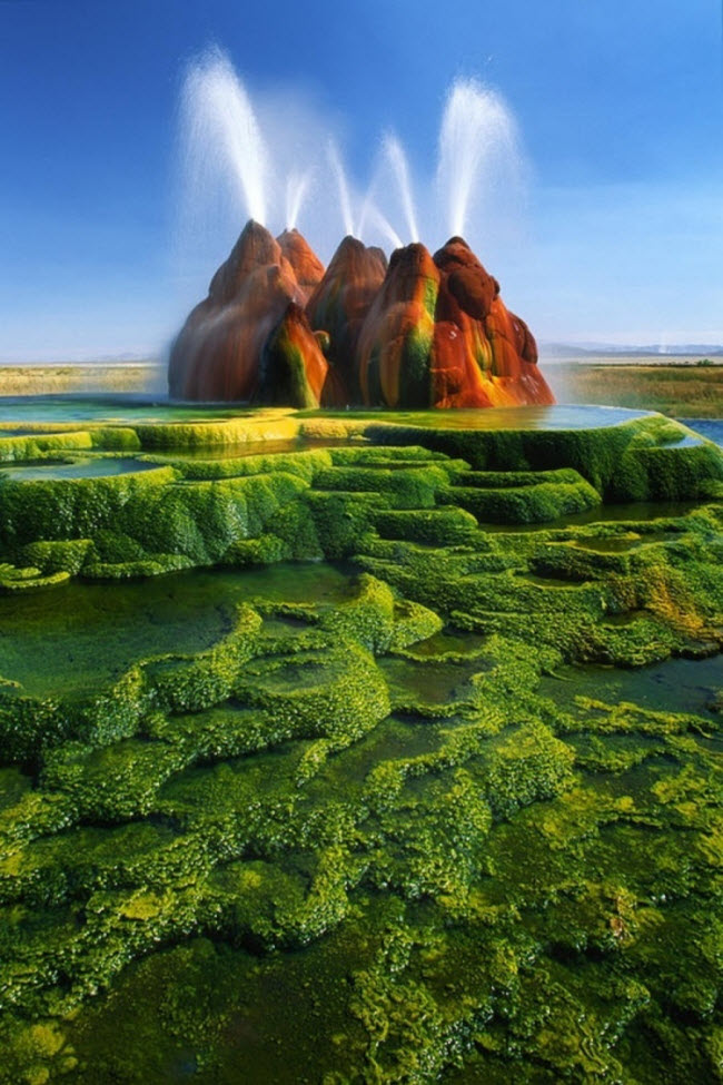 Mạch địa nhiệt Fly Geyser, Nevada, Mỹ.