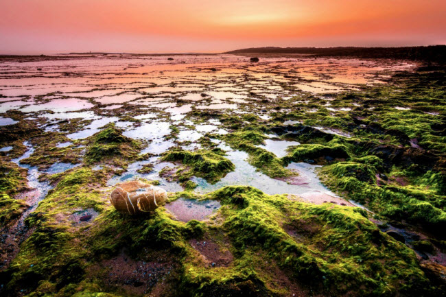 Vẻ hoang sơ của một biển ở Alentejo, Bồ Đào Nha.