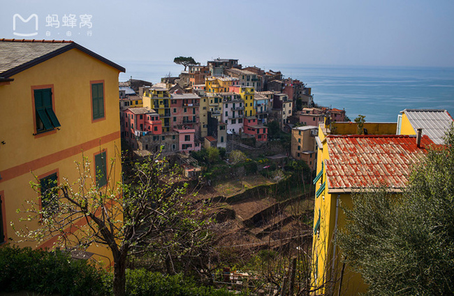 Toàn cảnh ngôi làng Corniglia