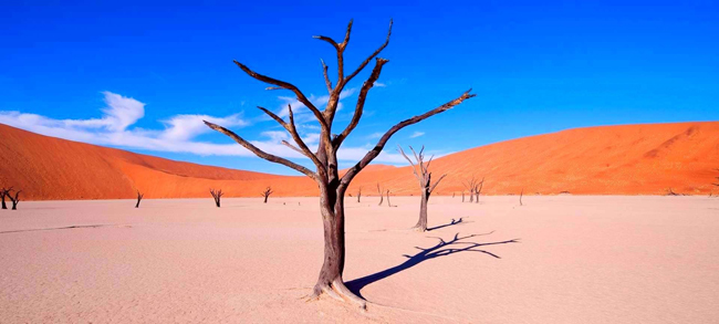 8. Sossusvlei: Sossusvlei nằm ở phía nam sa mạc Namib tại Namibia. Tên của nó kết hợp từ &#39;vlei&#39; trong tiếng Afrikaans có nghĩa là &#39;đầm lầy&#39;, và từ tiếng địa phương có nghĩa là &#39;không trở lại&#39;. Có thể bạn chưa bao giờ nghe nói về Sossusvlei, nhưng phong cảnh mang tính biểu tượng của nó thường xuyên xuất hiện trong cá bộ phim, với những cây keo khô, bầu trời xanh thẳm, những đụn cát càm đỏ cháy rực như ngọn lửa.