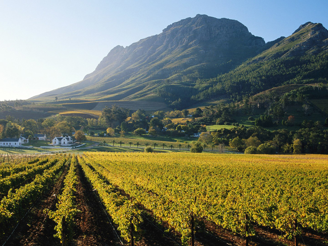 16. Franschhoek: Franschhoek là một thị trấn nhỏ thuộc tỉnh Western Cape và là một trong những thị trấn lâu đời nhất của Cộng hòa Nam Phi. Franschhoek được chú ý bởi nơi đây tập trung nhiều nhà hàng hàng đầu quốc gia này, cùng với nền văn hóa ủ rượu lâu đời, vẻ đẹp của tự nhiên và kiến trung nguyên sơ khiến nơi đây được mệnh danh là &#34;tuhr đô của rượu vang và mỹ thực&#34;.