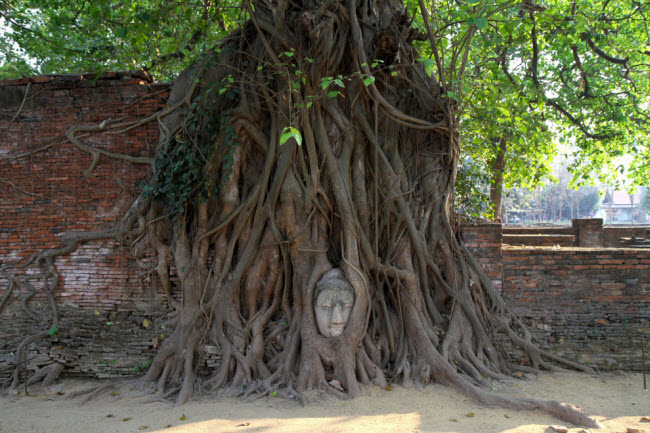 Ayutthaya, Phra Nakhon Si Ayutthaya.