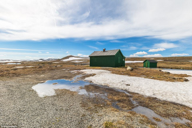 Hardangervidda, Na Uy: Vườn quốc gia này có hàng trăm con cáo Bắc cực, 7.000 con tuần lộc hoang dã và hệ&nbsp;sinh thái đa dạng. Mặc dù vậy, khí hậu ở đây rất khắc nghiệt và thay đổi bất thường.