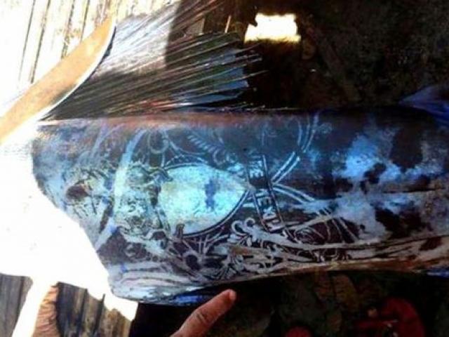 Philippines: Bắt được loài cá xăm kín thân hết sức kỳ lạ