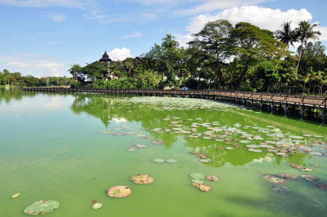 Vào bất cứ thời gian nào trong ngày hồ Kandawgyi cũng&nbsp;đẹp, nhưng thời điểm lý tưởng nhất là vào lúc hoàng hôn vì bạn có thể cảm nhận bầu trời thay đổi màu sắc sau ngôi chùa Shwedagon.