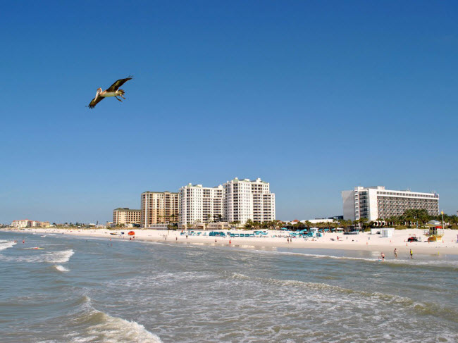 Clearwater Beach, bang Florida: Nước ở đây ấm và sạch, trong khi thị trấn ven biển cũng rất thân thiện với công viên hải dương, nhiều nhà hàng và các hoạt động trước biển.