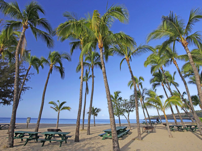 Vịnh Hulopoe, Hawaii: Hệ sinh thái biển ở đây rất đa dạng, phù hợp cho hoạt động lặn ống thở khám phá và bơi. Cá voi và cá heo cũng thường xuyên xuất hiện tại khu vực này.