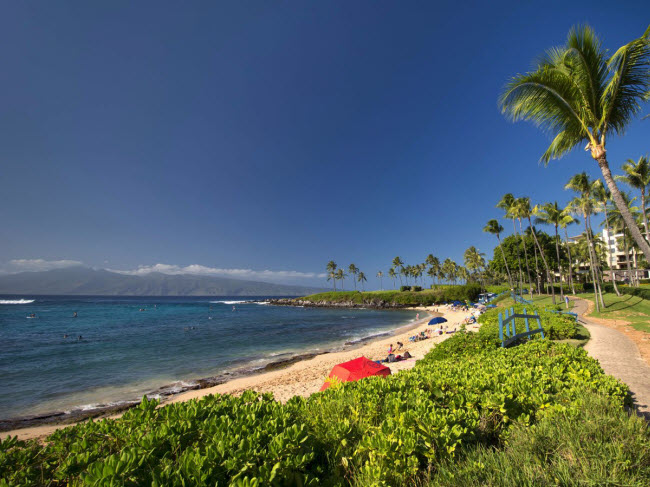 Kapalua Bay Beach, Maui: Bãi biển này có hình cong lưỡi liềm với những hàng cọ chạy dọc dải cát vàng. Vịnh được bảo vệ bởi các khối đá hình thành từ dung nham núi lửa.