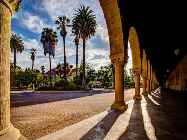 6. Đại học Stanford, bán đảo San Francisco.